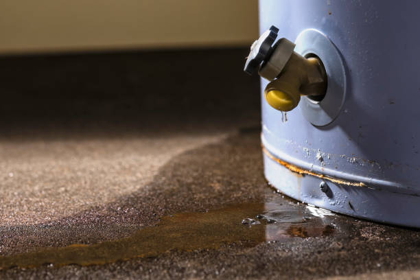 Best Water damage restoration near me  in Tazewell, TN