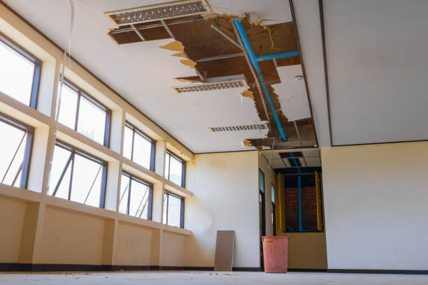 Best Carpet water damage restoration  in Tazewell, TN