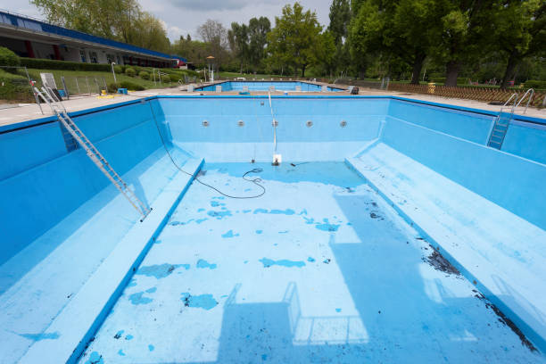 Best Flood damage cleanup  in Tazewell, TN