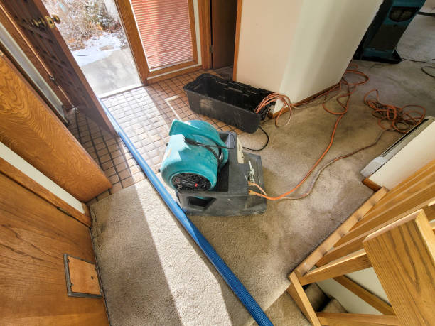 Best Water damage restoration near me  in Tazewell, TN