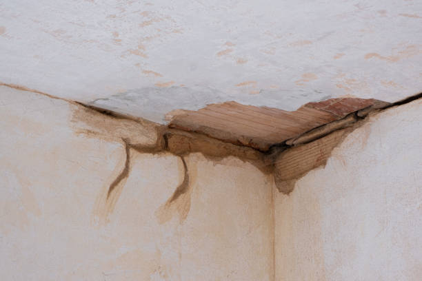 Best Fire Damage Restoration  in Tazewell, TN
