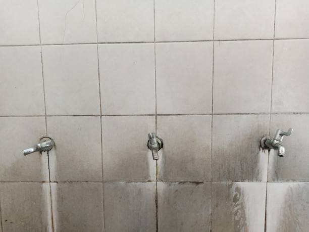 Best Flood restoration services  in Tazewell, TN