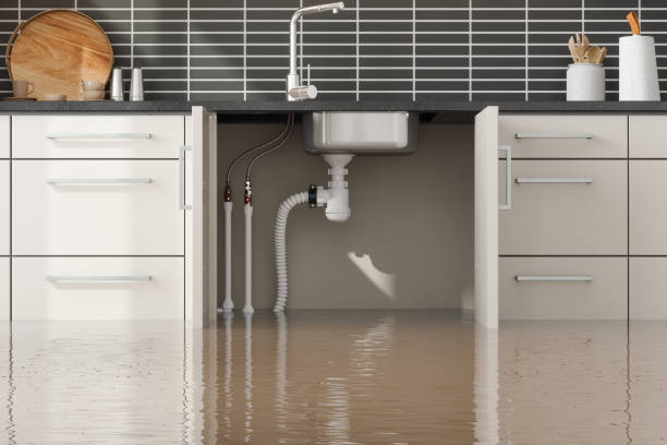 Best Basement water damage restoration  in Tazewell, TN