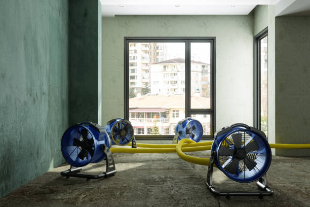 Best 24-hour water damage restoration  in Tazewell, TN